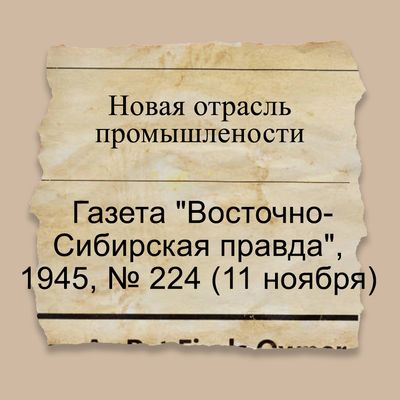 Новая отрасль промышленности